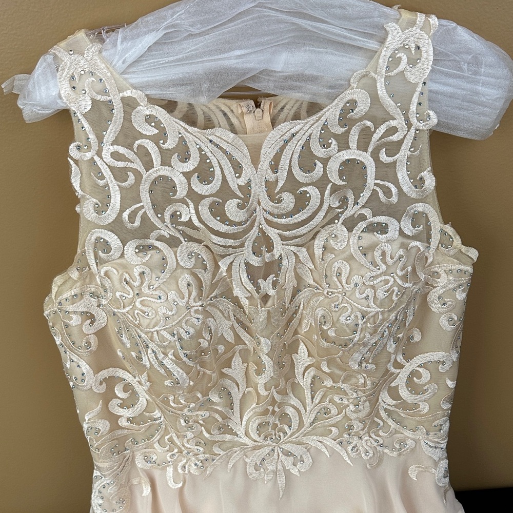 May Queen Champagne Embroidered Dress